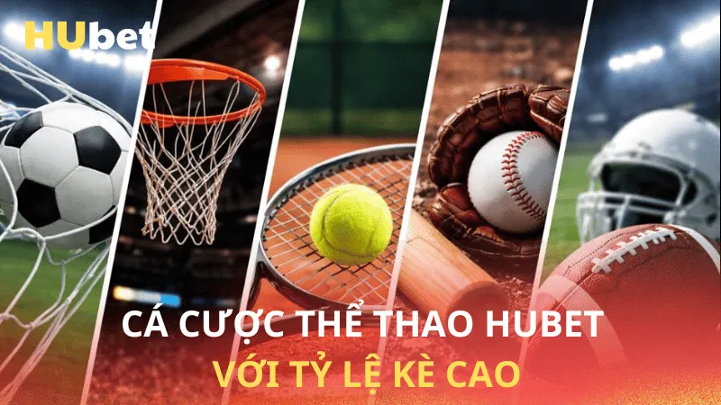 Cá cược thể thao Hubet với tỷ lệ kèo cao.